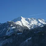 Alpin Kitzblick Apartment Piesendorf