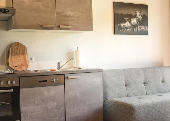 Apartmán Alpin Kitzblick